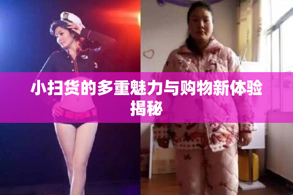 小扫货的多重魅力与购物新体验揭秘