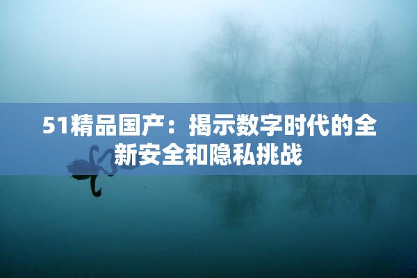 51精品国产：揭示数字时代的全新安全和隐私挑战