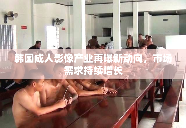 韩国成人影像产业再曝新动向，市场需求持续增长