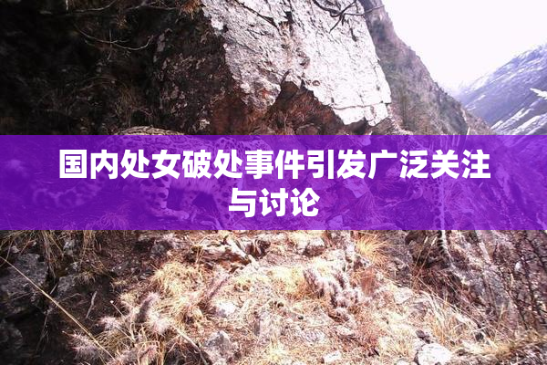 国内处女破处事件引发广泛关注与讨论