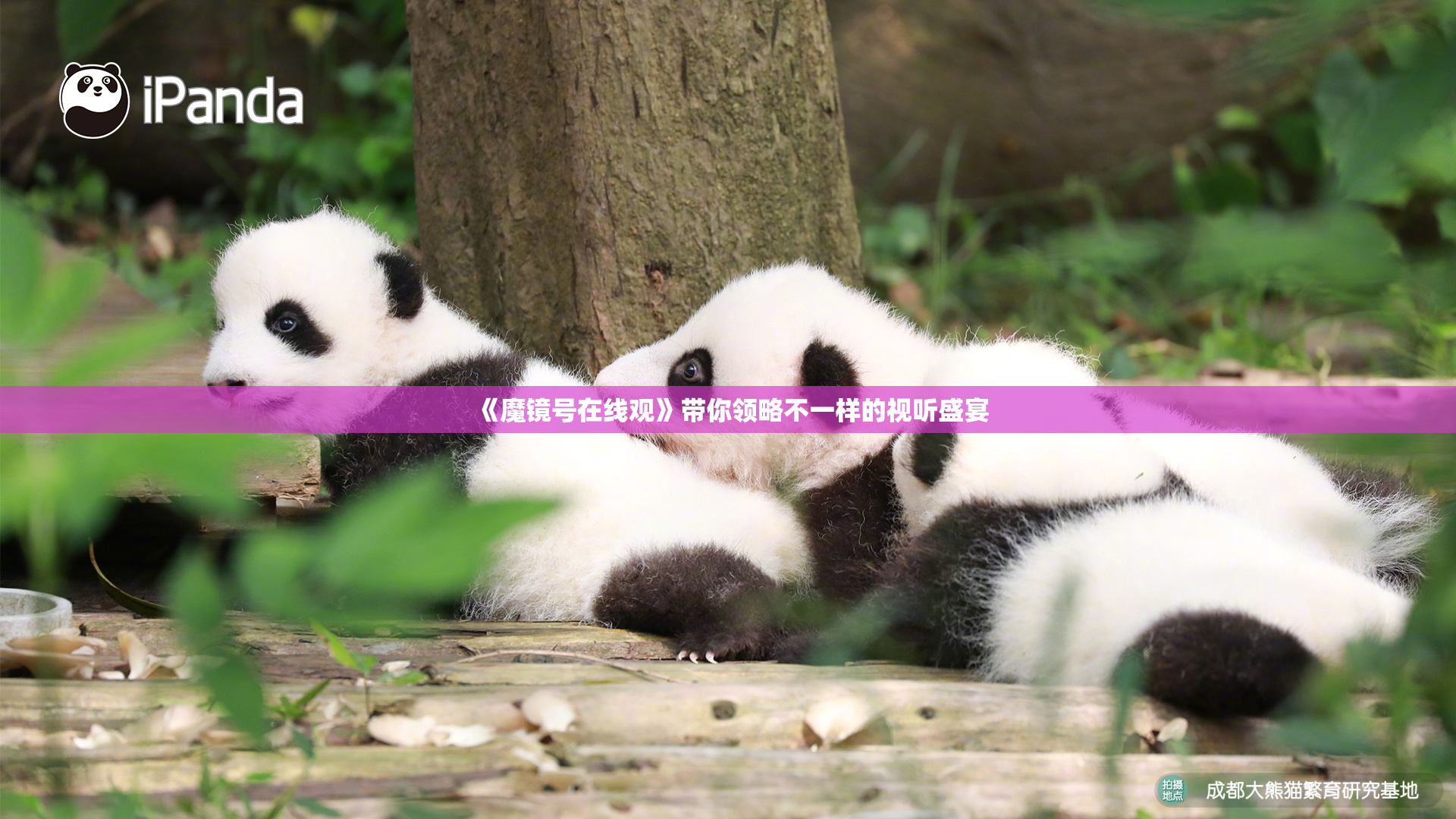 《魔镜号在线观》带你领略不一样的视听盛宴