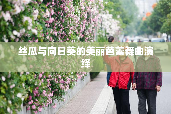 丝瓜与向日葵的美丽芭蕾舞曲演绎
