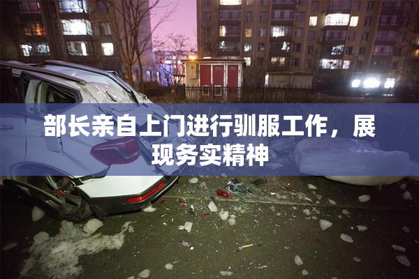 部长亲自上门进行驯服工作，展现务实精神