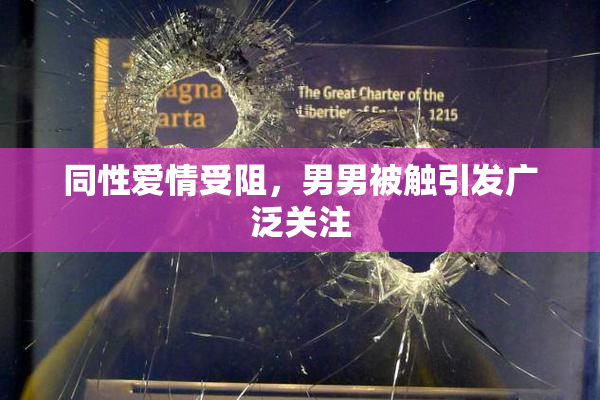 同性爱情受阻，男男被触引发广泛关注