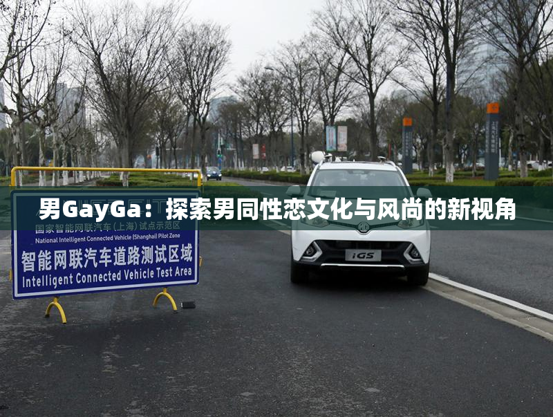 男GayGa：探索男同性恋文化与风尚的新视角