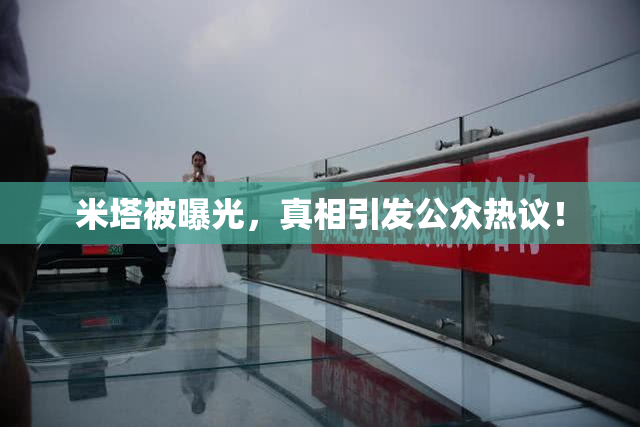 米塔被曝光，真相引发公众热议！