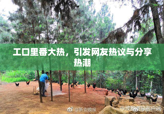 工口里番大热，引发网友热议与分享热潮