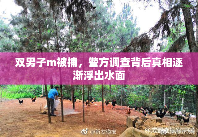 双男子m被捕，警方调查背后真相逐渐浮出水面