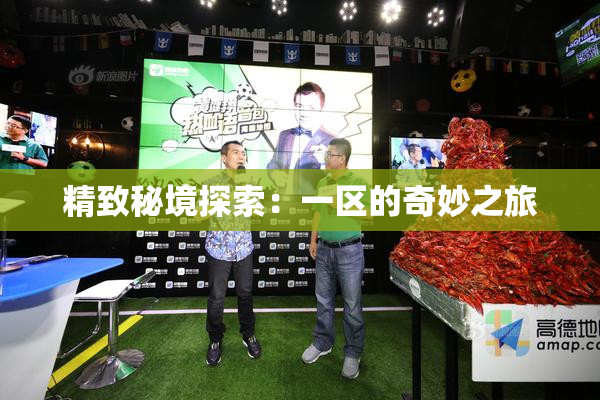 精致秘境探索：一区的奇妙之旅
