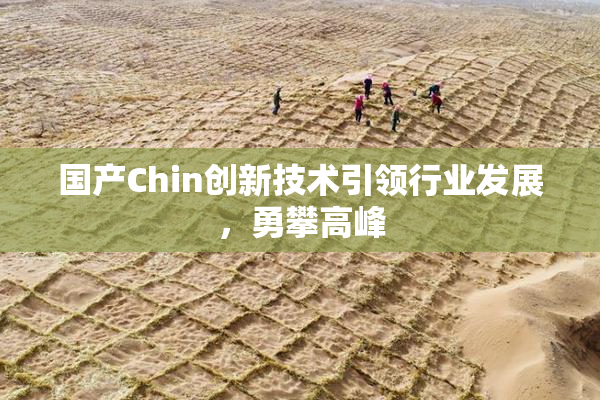 国产Chin创新技术引领行业发展，勇攀高峰