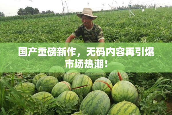国产重磅新作，无码内容再引爆市场热潮！
