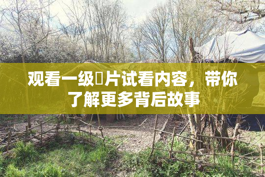 观看一级婬片试看内容，带你了解更多背后故事