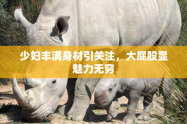 少妇丰满身材引关注，大屁股显魅力无穷