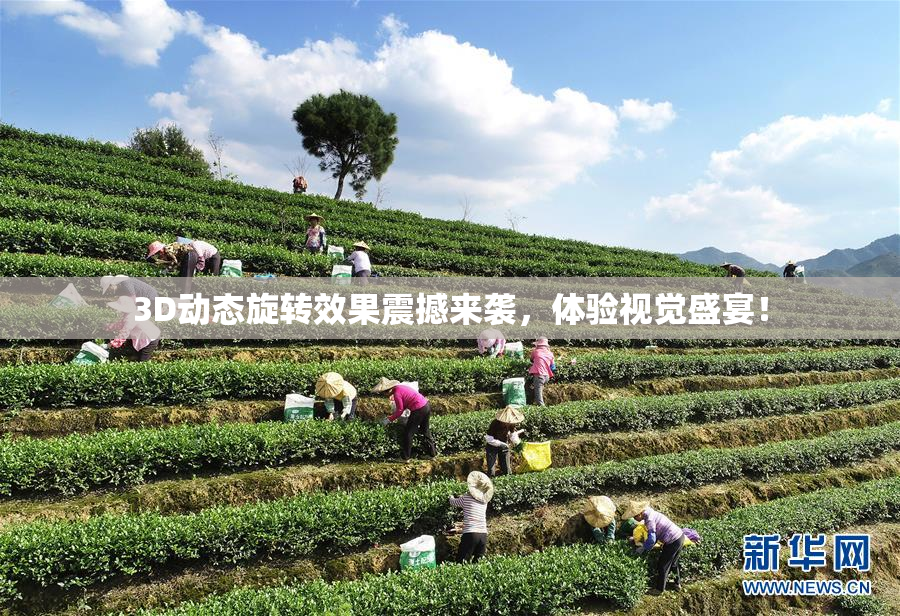 3D动态旋转效果震撼来袭，体验视觉盛宴！
