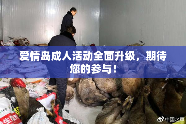 爱情岛成人活动全面升级，期待您的参与！
