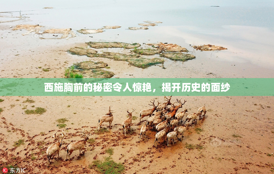 西施胸前的秘密令人惊艳，揭开历史的面纱