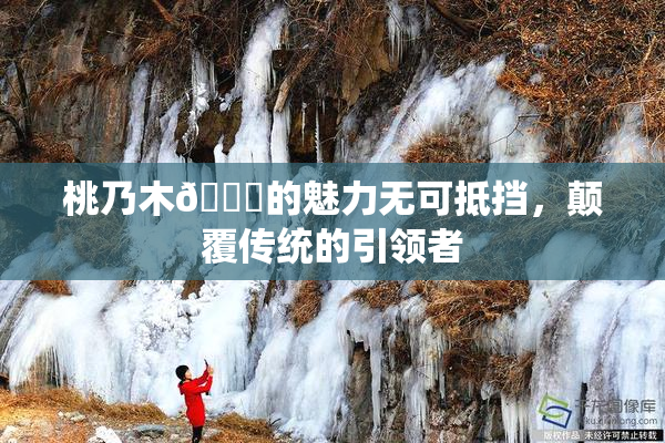 桃乃木💋的魅力无可抵挡，颠覆传统的引领者