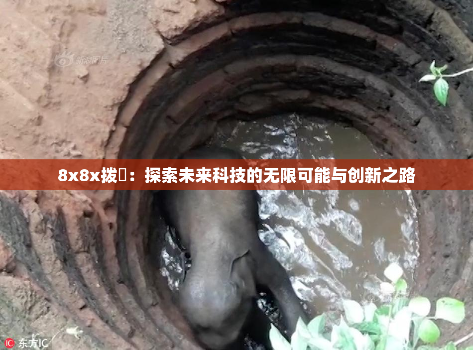 8x8x拨牐：探索未来科技的无限可能与创新之路