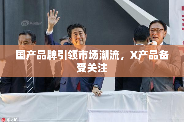 国产品牌引领市场潮流，X产品备受关注