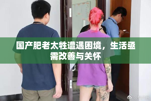 国产肥老太牲遭遇困境，生活亟需改善与关怀