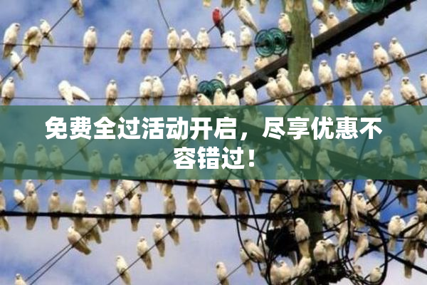 免费全过活动开启，尽享优惠不容错过！