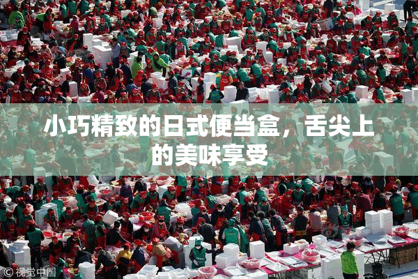 小巧精致的日式便当盒，舌尖上的美味享受