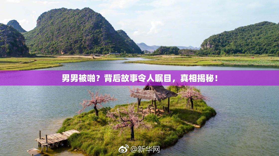 男男被啪？背后故事令人瞩目，真相揭秘！