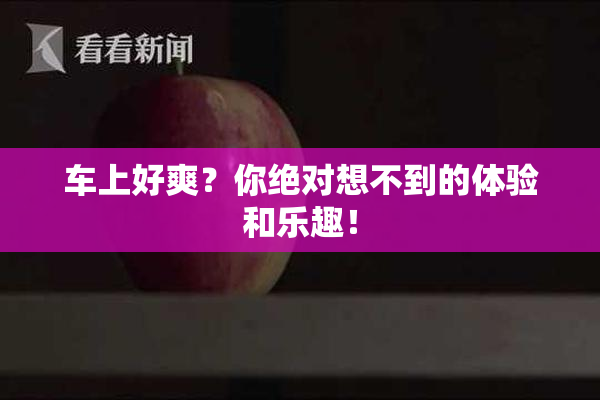 车上好爽？你绝对想不到的体验和乐趣！