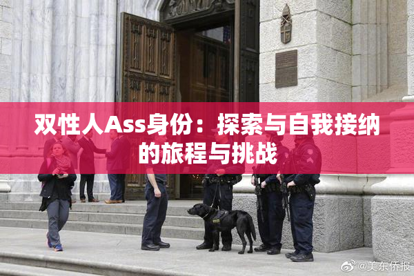 双性人Ass身份：探索与自我接纳的旅程与挑战