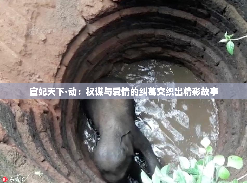 宦妃天下·动：权谋与爱情的纠葛交织出精彩故事