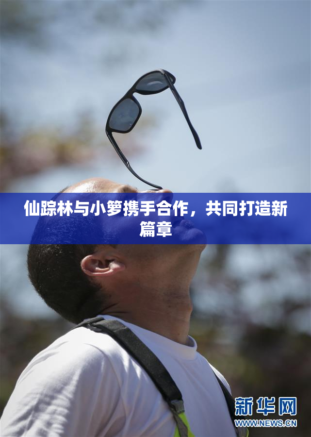 仙踪林与小箩携手合作，共同打造新篇章