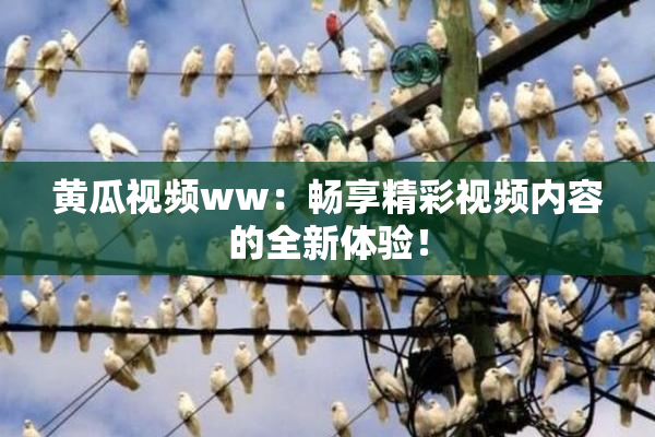 黄瓜视频ww：畅享精彩视频内容的全新体验！