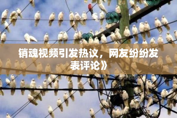 销魂视频引发热议，网友纷纷发表评论》
