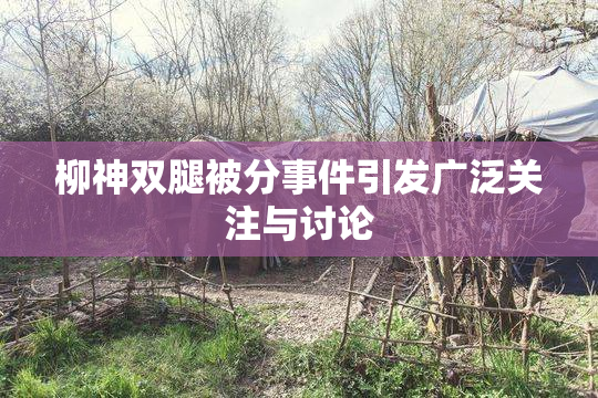 柳神双腿被分事件引发广泛关注与讨论