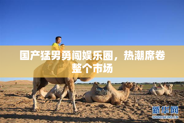 国产猛男勇闯娱乐圈，热潮席卷整个市场