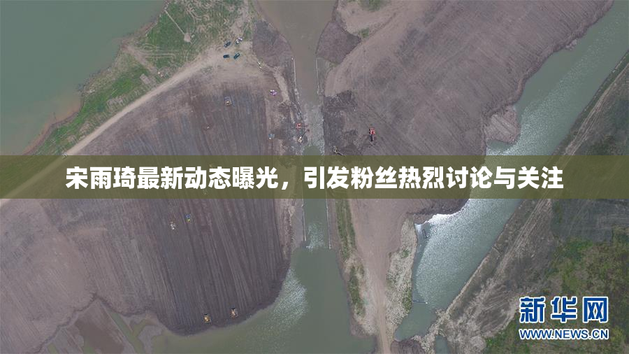 宋雨琦最新动态曝光，引发粉丝热烈讨论与关注