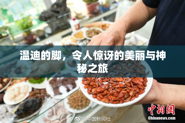温迪的脚，令人惊讶的美丽与神秘之旅