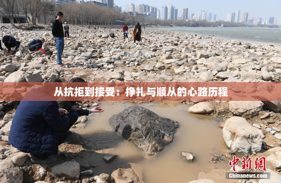 从抗拒到接受：挣扎与顺从的心路历程