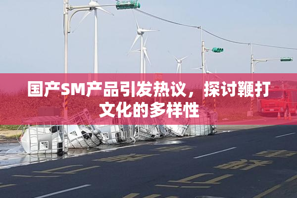 国产SM产品引发热议，探讨鞭打文化的多样性