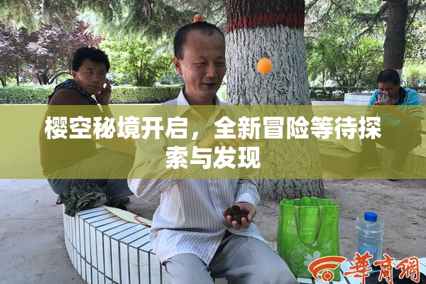 樱空秘境开启，全新冒险等待探索与发现