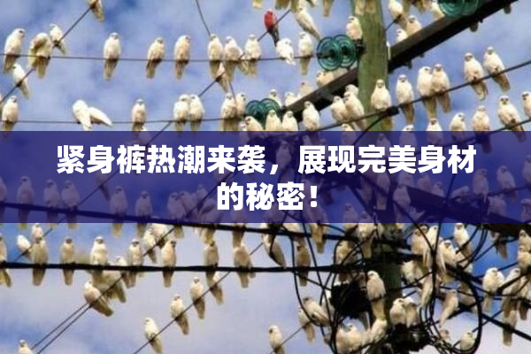 紧身裤热潮来袭，展现完美身材的秘密！