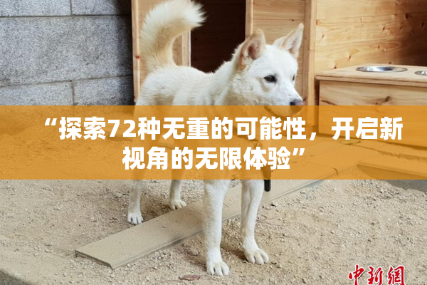 “探索72种无重的可能性，开启新视角的无限体验”