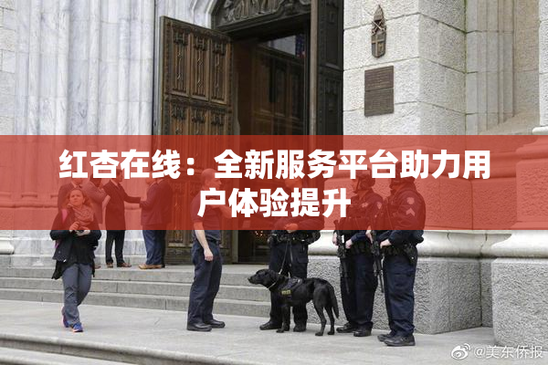 红杏在线：全新服务平台助力用户体验提升