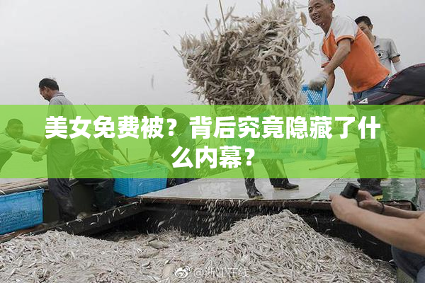 美女免费被？背后究竟隐藏了什么内幕？