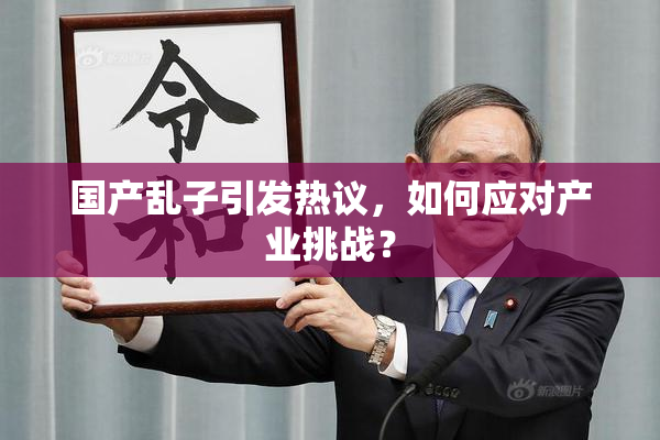 国产乱子引发热议，如何应对产业挑战？