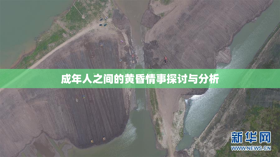 成年人之间的黄昏情事探讨与分析