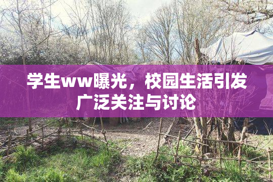 学生ww曝光，校园生活引发广泛关注与讨论