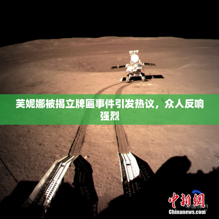 芙妮娜被揭立牌匾事件引发热议，众人反响强烈
