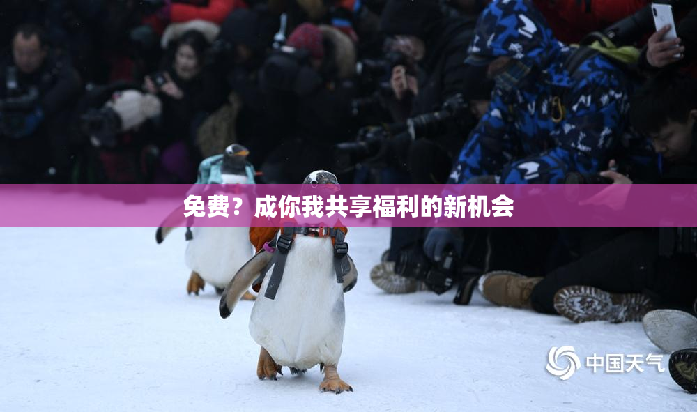 免费？成你我共享福利的新机会