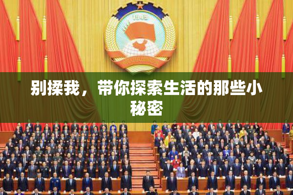 别揉我，带你探索生活的那些小秘密